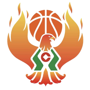 https://img.yikaqiche.com/img/basketball/team/09b49d34027e0409a4de3295f8c71a2d.png