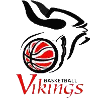 https://img.yikaqiche.com/img/basketball/team/68b3b1e0496d46b3988571d5c75d1ed8.png