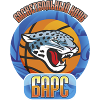 https://img.yikaqiche.com/img/basketball/team/9008e0eb5cdc9f3e587e5838c6201832.png