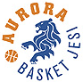 https://img.yikaqiche.com/img/basketball/team/a77950f390405e3042f9691c09d63251.gif