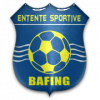 https://img.yikaqiche.com/img/football/team/e87340e0732a9f94db6e6c7ad6c6cf30.png